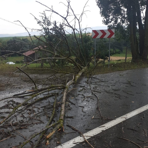 Caniculă în Sălaj: Cod portocaliu din nou activ