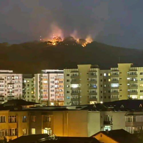 Incendiu de vegetație în Zalău, pompierii intervin