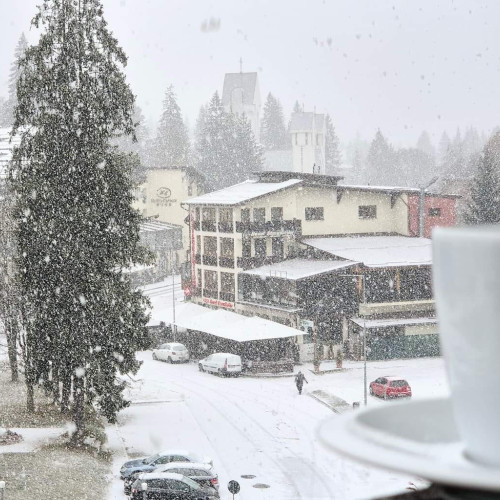 Cod galben de ninsori și viscol în zonele montane