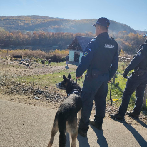 Politia din Salaj desfășoară acțiuni pentru siguranța publică