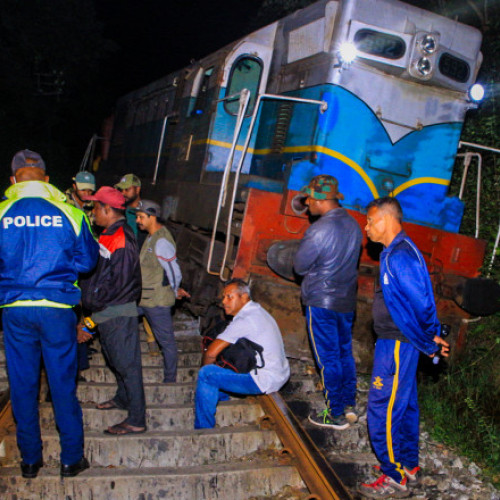 Accidente feroviare tragice în Sri Lanka: Sase elefanți au murit