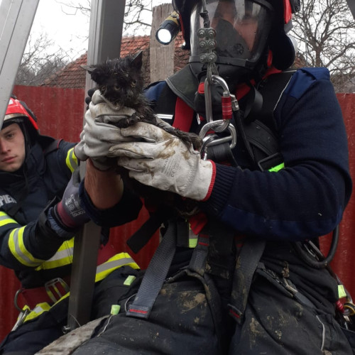 Pisoi din Derșida, salvat de pompieri dintr-o fântână adâncă