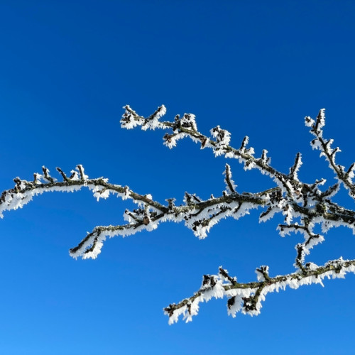 Temperaturi de primăvară în România în luna februarie