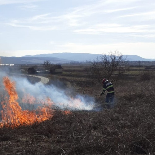 Patru incendii de vegetație în câteva ore în județul Sălaj. Unul a afectat 30 de hectare la Derșida