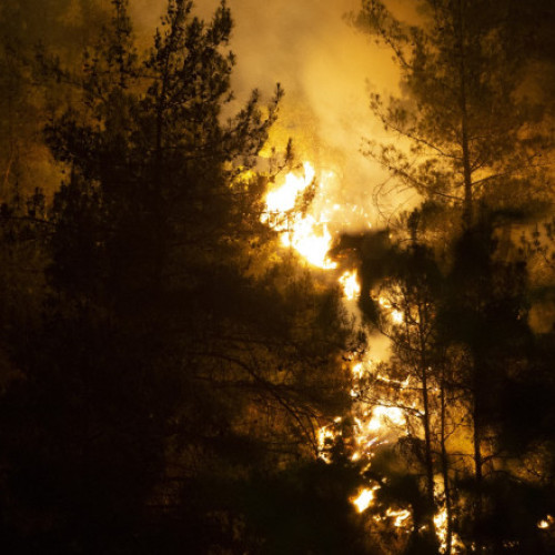 10 pompieri morți și 14 răniți în incendiile de vegetaţie din centrul Turciei