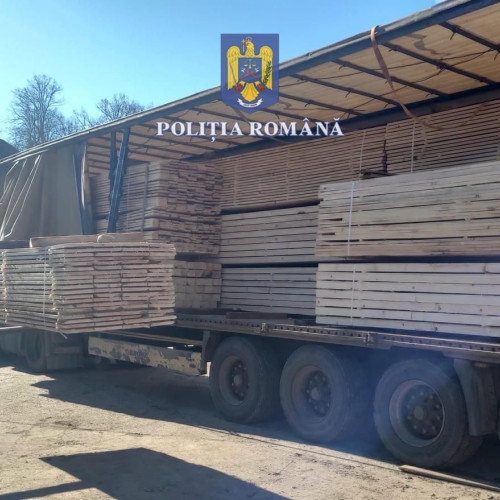 300 metri cubi de lemn confiscat de autorități în cadrul unor controale la patru firme și 53 de transporturi ilegale în Jibou.