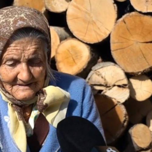 Uniunea Europeană interzice sobele pe lemne în România. Schimbări majore în sistemul de încălzire.